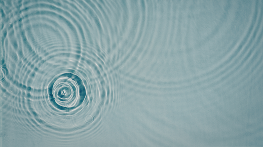 Systems of Renewal: Rethinking How Organisations Regenerate